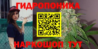 гидра Ипатово
